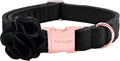 ARING PET Velvet Dog Collars, Black Soft Pet Collar with Detachable Felt Flower Metal Buckle for Puppy Small Medium Large Boy Girl Dogs-XS