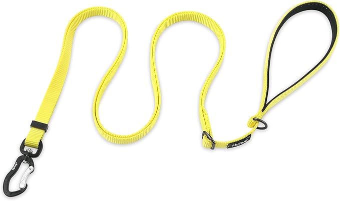Hyhug Nylon Adjustable 4-6ft Dog Leash with Soft Neoprene Padded Handle, Durable Heavy Duty Leash with Easy-to-Use Bolt Snap, Ideal for Jogging Outdoor