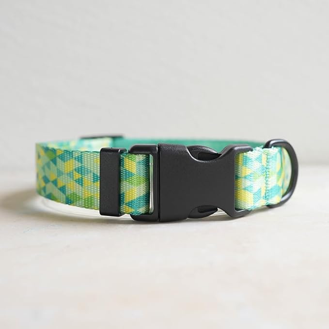 Dog Collars for Small Dogs - Safety Buckle Durable Plastic Light-Weight, Girl Boy Dogs Collar for Small Dog Collar with Fruits Patterns Pet Collars Soft Adjustable (Green, S)