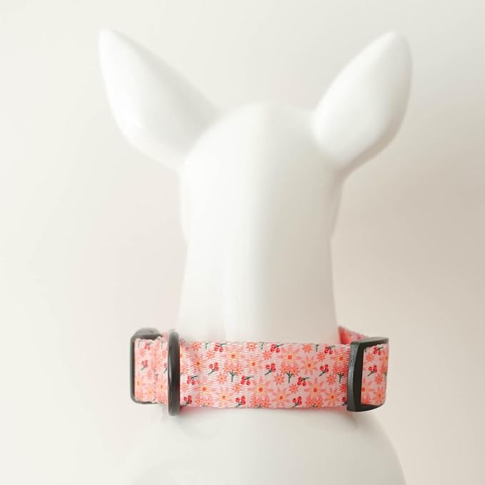 Dog Collars for Medium Dogs - Safety Buckle Durable Plastic Light-Weight,Boy Dogs Collar for Medium Dog Collar with Cute Patterns Soft Adjustable (Pink, M)