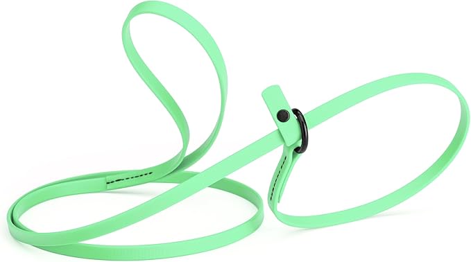 Dogline Biothane Slip Dog Leash - for Small, Medium and Large Dogs - Odor Free Slip Lead, Heavy Duty and Durable Material Kennel Lead - Sea Foam Green - 5ft L x 3/8in W