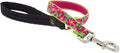 Lupine Traffic Leash 2-Foot by 1" Wide Petunias