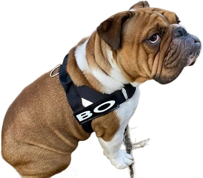 BULLHUG Adjustable Dog Harness– No Pull, No Choke – for English Bulldogs, French Bulldogs, Pugs & Broad-Chested Breeds – Easy, Safe Walks (Black, XL)