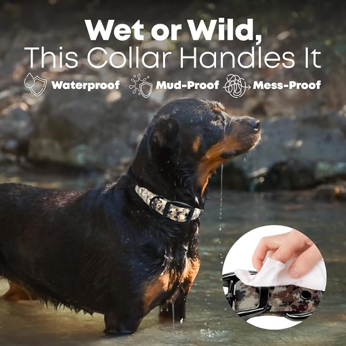 Regal Dog Products Medium Camo Hunting Dog Collar with Custom Engraved Name Plate and Heavy Duty Black Hardware Center Ring | Waterproof Personalized Dog Collars | Other Sizes for Small & Large & Dogs