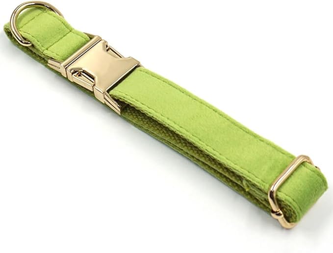 PETDURO Custom Dog Collar Personalized with Name Engraved Quick Release Rose Gold Metal Buckle for Large Medium Small Girl Dogs - Dog Leash and Bow Tie Available - Soft Comfy Velvet (Green, M)