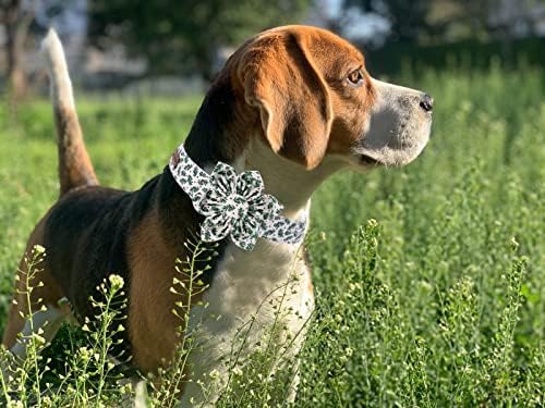 Elegant little tail Christmas Dog Collar, Female or Male Dog Collar Flower, Pet Collar Adjustable Dog Collars with Flower for Small Medium Large Dogs