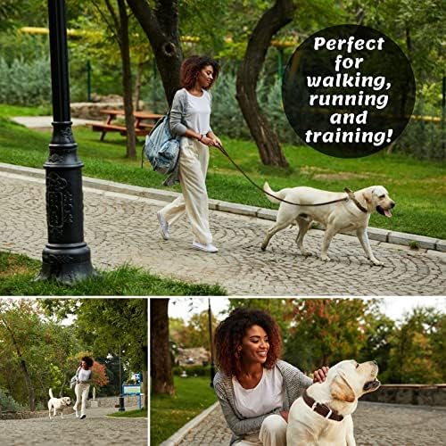 ADITYNA - Premium Leather Dog Leash - 6 ft, Heavy-Duty, Soft & Strong for Small/Medium Dogs - Perfect for Walking, Training, Hiking, and Running (Medium: 6 ft x 5/8", Brown)