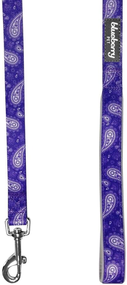 Blueberry Pet 5 Colors Paisley Flower Print Dog Leash with Soft & Comfortable Handle, 4 ft x 1", Violet, Large, Leashes for Dogs