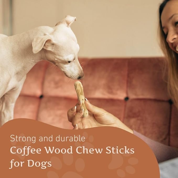 Wildfang® Coffee Wood Dog Chew, XXS – Tough Chew Toys for Aggressive Chewers, Dog Teething Toys for Puppies, Training for Chewing Muscles, Coffee Tree Sticks for XX-Small Dogs (Under 11 lbs) Pack of 3