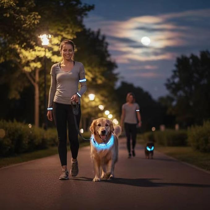 2-Pack Flash LED Pet Safety Collar Light Band - Blue