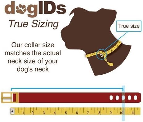 dogIDs Personalized Dog Collar – ScruffTag Custom Waterproof Biothane Dog Collar with Laser-Engraved Name, Durable & Odor-Resistant – USA Made | Sage, 5/8 in x 8 in (Fits Neck Sizes 7-9 in)