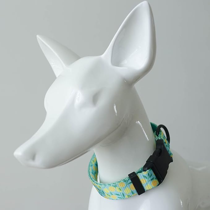Dog Collars for Medium Dogs - Safety Buckle Durable Plastic Light-Weight, Boy Dogs Collar for Medium Dog Collar with Cute Patterns Soft Adjustable (Light Green, M)