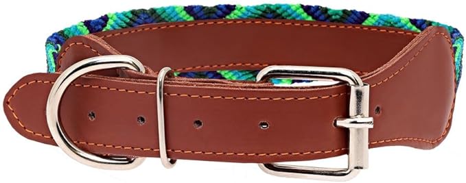 Eternia Premium Leather Dog Collar - Adjustable Handcrafted Collar for Small to Large Dogs (Blue/Green, M)