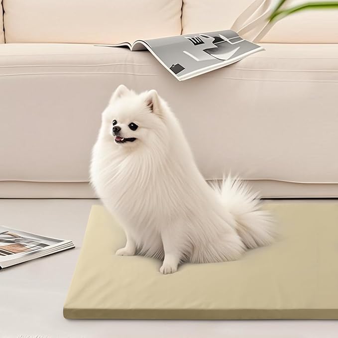 Dog Mat,23"x 36"Dogs Crate Pad,Indoor Non-Slip & Waterproof Dog Mat,Easy Wipe Clean in Seconds，Sleeping for Floor,Car,Sofa,Crate