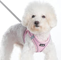 Sparkly Dog Harness Small Sized and Leash Set for Small Dogs Cats,Pink XS Puppy Harness, Step in Soft Dog Reflective Vest, Breathable Mesh Pet Harness. (Pink, XS)
