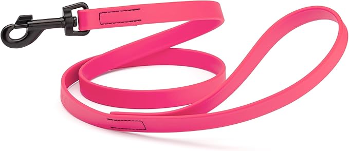 Dogline Biothane Waterproof 6ft Dog Leash Strong Coated Nylon Webbing with Black Hardware Odor-Proof Easy to Clean High Performance for Small or Large Dogs Made in USA 6ft Lead, Passionfruit Pink