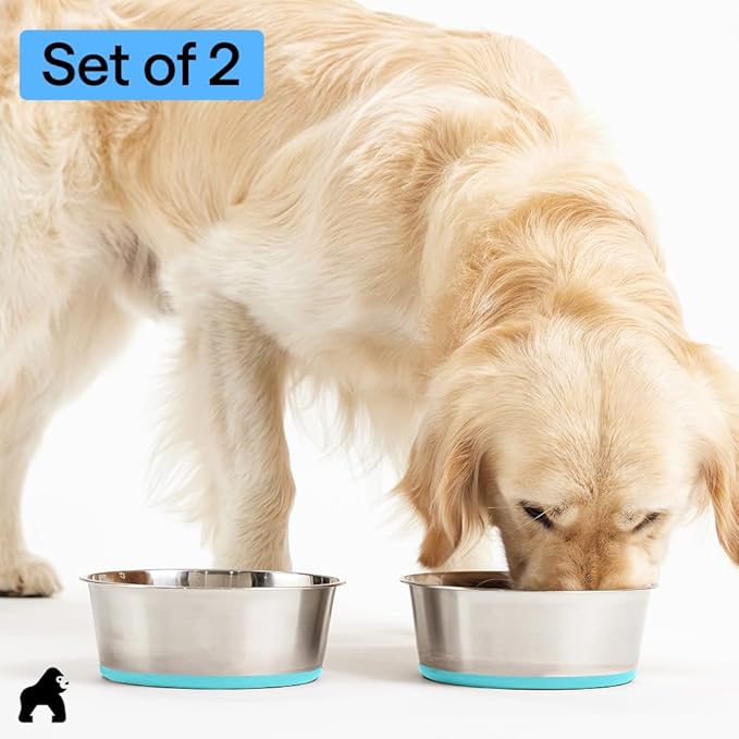GORILLA GRIP Dog Bowls, Holds 2 Cups Each (16 fl oz), Heavy Duty Stainless Steel Food and Water Bowl for Feeding Dogs and Cats, Dishwasher Safe, Rust Resistant BPA Free Rubber Base, Set of 2 Turquoise