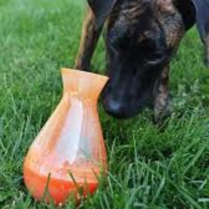 KONG Rewards Tipsy Food or Treat Dispensing Dog Toy - Interactive and Mentally Stimulating Toy for Dogs (Small)