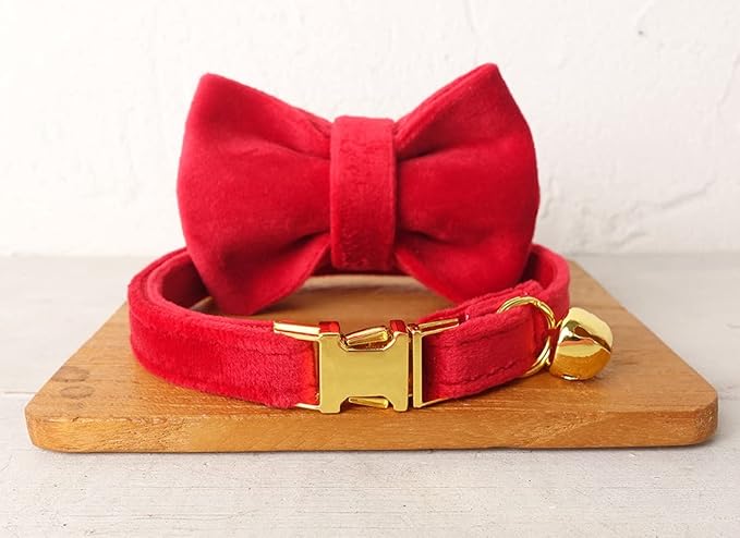 Cat Collar Personalized with Name Engraved and Bell, Customized Velvet Collars for Puppy Kittens (Red, S)