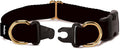 PetSafe KeepSafe Collar for Dogs - Protects Against Collar Accidents - Long Lasting - Durable - Adjustable - Breakaway - Outdoor-Safe - Large - 1 in. Wide - Black