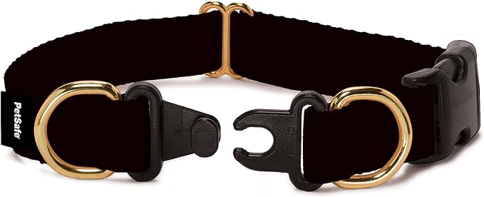 PetSafe KeepSafe Collar for Dogs - Protects Against Collar Accidents - Long Lasting - Durable - Adjustable - Breakaway - Outdoor-Safe - Large - 1 in. Wide - Black