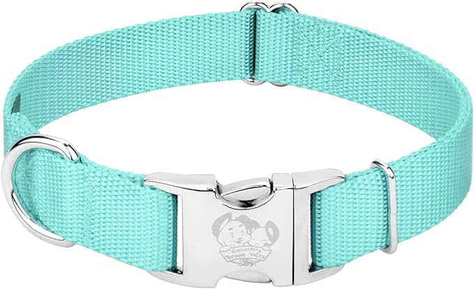 Country Brook Petz - Premium Nylon Dog Collar with Metal Buckle for Small Medium Large Breeds - 10+ Cool Colors (Medium, 3/4 Inch, Light Cyan)