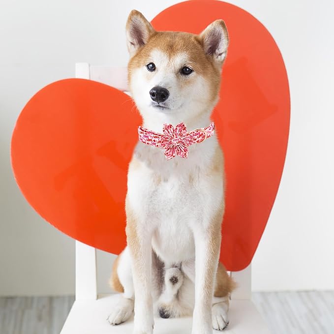 Elegant little tail Valentine's Day Dog Collar, Valentine's Day Dog Collar with Flower, Heart Dog Collar Cute Girl or Boy Dog Collar Flower Pet Gift Adjustable Dog Collar for Large Dogs