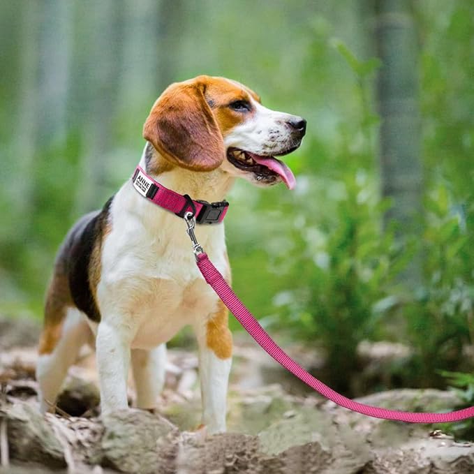 Joytale Personalized Dog Collars with Engraved Name Plate, Silent No Jingle Custom Nylon Collar with Fixed ID Tag, Reflective Soft Neoprene Padded Breathable for Medium Dogs, Hotpink