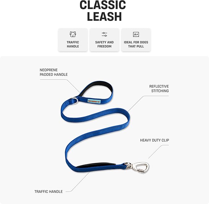 DF Co. Classic Dog Leash | Strain-Free, Shock Resistant, Prevents Jolts, Maintain Control | Durable Waterproof Material with Heavy Duty Clip & D-Ring (Grey Camo, Small)