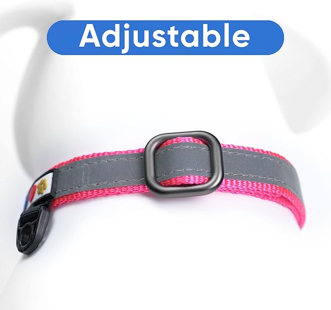 Pawtitas Personalized Dog Collar Martingale Dog Collar with Name Phone Number Reflective Martingale Dog Collar Customized Collar for Large Dogs | Pink Custom Dog Collars for Large Dogs