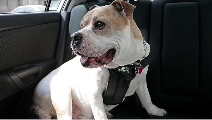 Clickit Sport Plus - Crash-Tested and Safety Certified Car Seat Belt Harness for Dogs (Large, Jet Black)