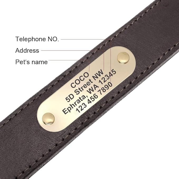 Didog Genuine Leather Dog Collars with Engraved Nameplate, Personalized Soft Leather Dog Collar with Custom ID Tag, Brown/Green/Red for Small Dogs (M,Brown)