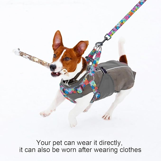 BEAUTYZOO No Pull Dog Harness and Leash Set - Adjustable Step-in Puppy Harness for Small Medium Large Dogs, Escape Proof Soft Nylon Vest with Double D Ring for Walking Running Training, L