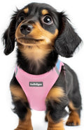 rabbitgoo Small Dog Harness, Step-in Soft Mesh Puppy Vest with Safety Buckle, Breathable Reflective Pet Harness for Extra Small Dogs, Blue & Light Pink XXS