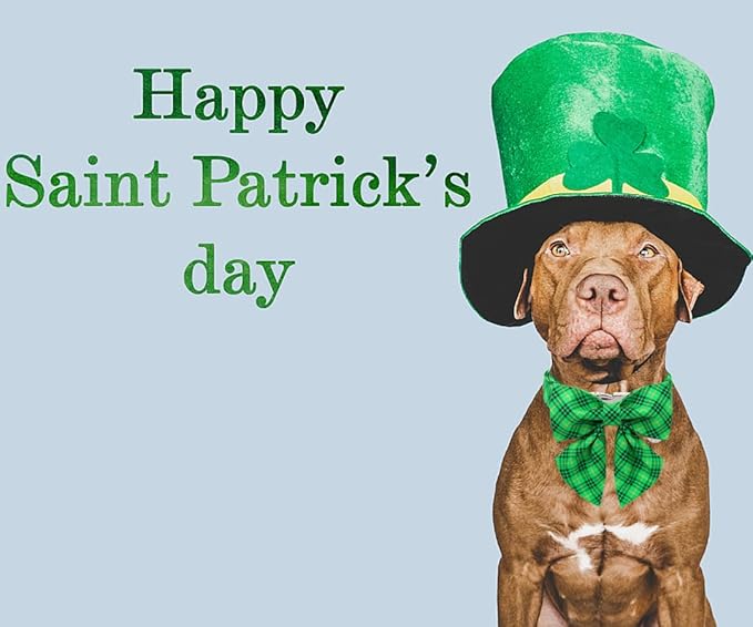 DOGWONG St. Patrick's Day Dog Collar-Cute Green Dog Collar with Bow, Cotton Green Plaid Bowtie Dog Collars with Metal Buckle for Small Medium Large Dogs