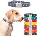 dogIDs Personalized Dog Collar – ScruffTag Custom Waterproof Biothane Dog Collar with Laser-Engraved Name, Durable & Odor-Resistant – USA Made | Grey, 3/4 in x 14 in (Fits Neck Sizes 12-16 in)