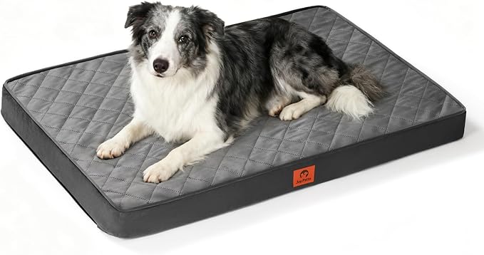 Cozy Dog Bed for Large Sized Dog - Orthopedic Egg Crate Foam Pet Bed with Waterproof & Machine Washable & Non-Slip Bottom, Ideal Beds for Crate and Indoor Use, 35x22 Inch, up to 50 lbs, Dark Grey