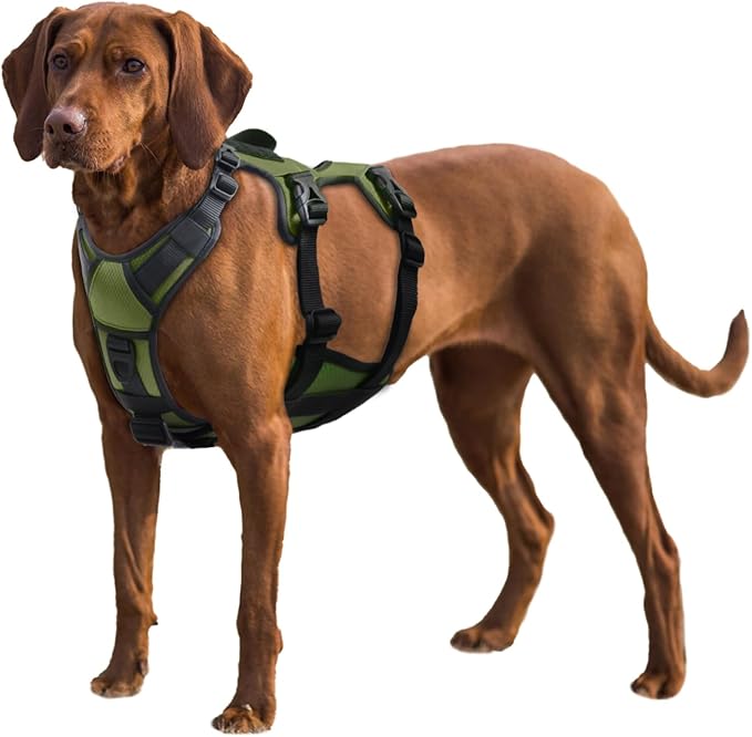 AUROTH Escape Proof Dog Harness - No Pull with Lift Handle, Soft Padded Reflective Adjustable Vest, Large for Walking, Hiking, Training