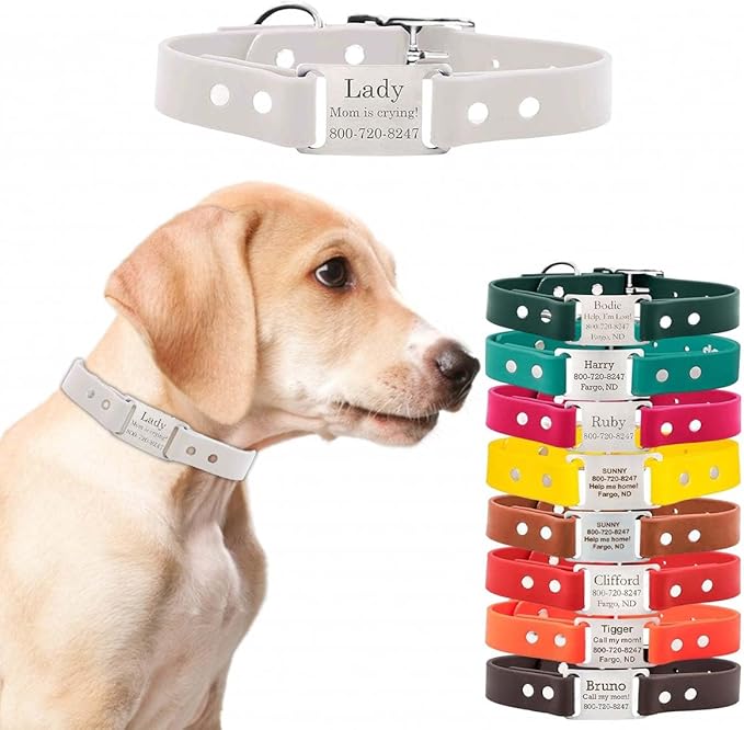 dogIDs Personalized Dog Collar – ScruffTag Custom Waterproof Biothane Dog Collar with Laser-Engraved Name, Durable & Odor-Resistant – USA Made | White, 5/8 in x 8 in (Fits Neck Sizes 7-9 in)