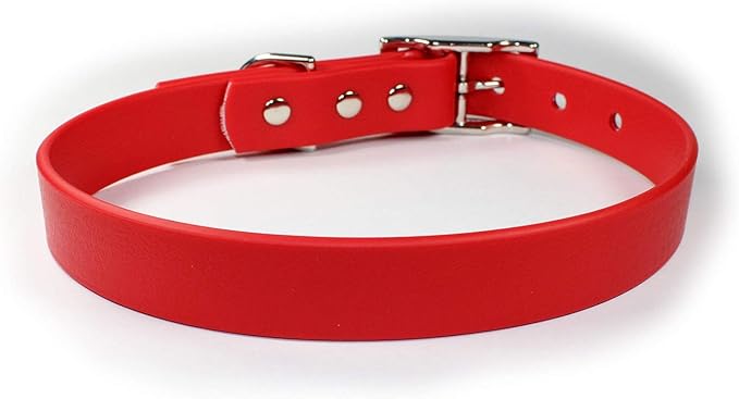 Waterproof Dog Collar (M/L: 16"-20", Red)
