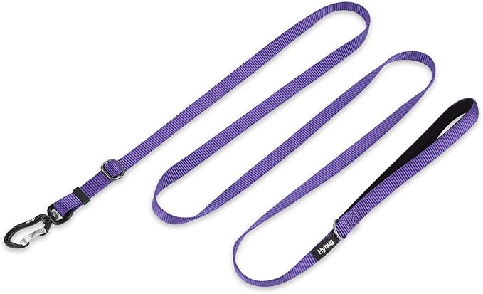 Hyhug Nylon Adjustable 4-6ft Dog Leash with Soft Neoprene Padded Handle, Durable Heavy Duty Leash with Easy-to-Use Bolt Snap, Ideal for Jogging Outdoor
