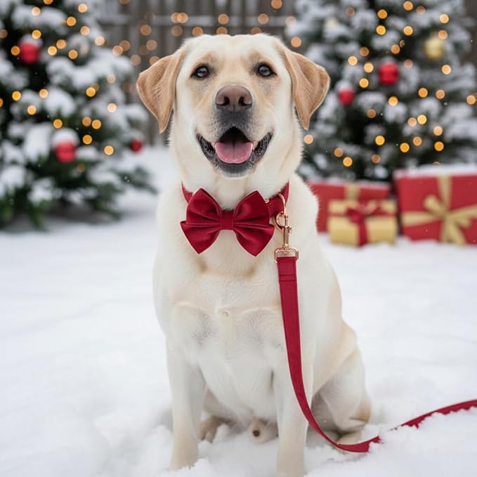 PETDURO Custom Dog Collar Personalized with Name Engraved Rose Gold Metal Buckle for Large Medium Small Girl Dogs - Dog Leash and Bow Tie Available - Soft Comfy Velvet (Christmas Red RG, XS)