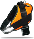 Non Pull Dog Harness with Patch Panels and Handle, Adjustable, Reflective, No Choke, Heavy Duty Easy On Service Dog Vest Harnesses for Medium Large Small Sized Dogs - Orange, S