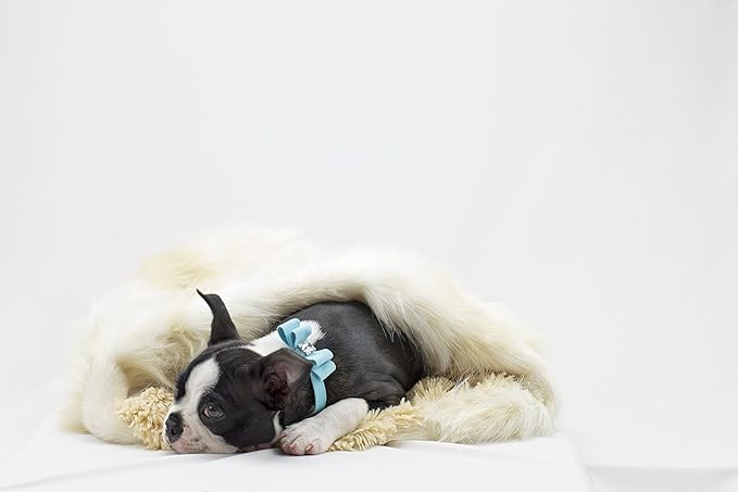 Susan Lanci Designs Ultrasuede Premium Dog Collar, Doe, Teacup