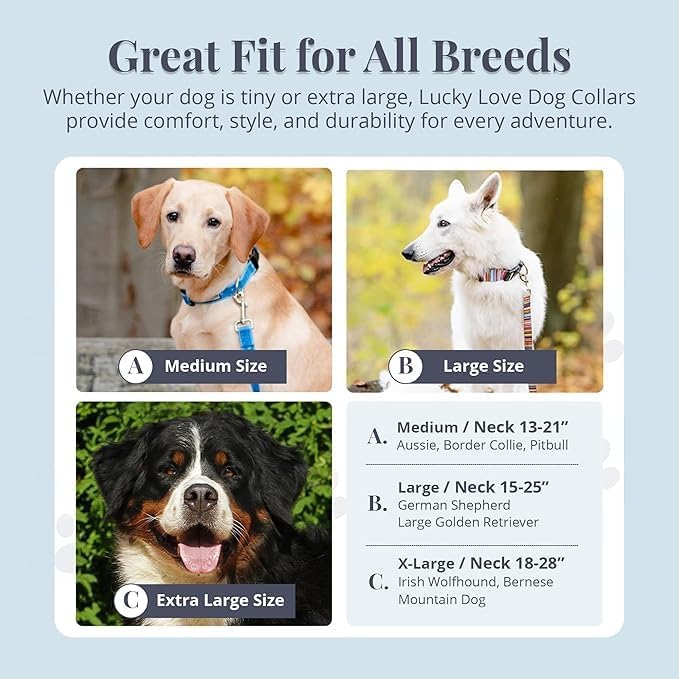 Lucky Love Dog Wide Dog Collar - Adjustable, Durable, Soft Webbing, & Comfortable 1.5 inch Wide Collar for Dogs Male and Female with Strong Buckle - Valentina, Large