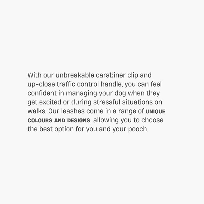 DF Co. Classic Dog Leash | Strain-Free, Shock Resistant, Prevents Jolts, Maintain Control | Durable Waterproof Material with Heavy Duty Clip & D-Ring (Green, Small)