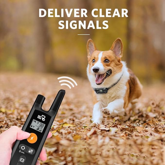 DOG CARE Shock Collar for Dogs - Dog Training Collar with Remote, 3 Training Modes, Rainproof, Security Lock, Long Remote Range, Rechargeable E-Collar for Small Medium Large Dogs All Breeds