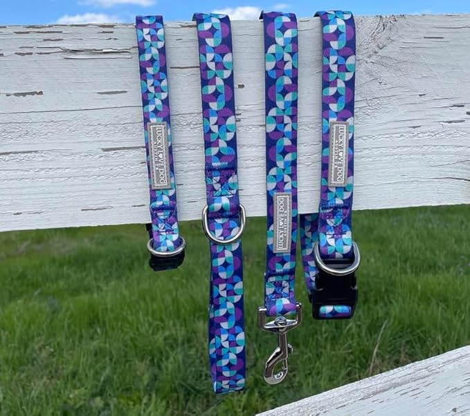 Lucky Love Dog - Adjustable Dog Collar and Leash Set with Easy Click Buckle for Large Dogs, Durable, & Comfortable Collar for Male & Female Dogs, Puppies & Adult Ones - Jasper Combo, Large