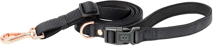 The DOGISTRY - City Dog Leash - Black - Award-Winning Adjustable Hands-Free Design - Luxe Rose Gold Hardware & Style-Forward Functionality - Small