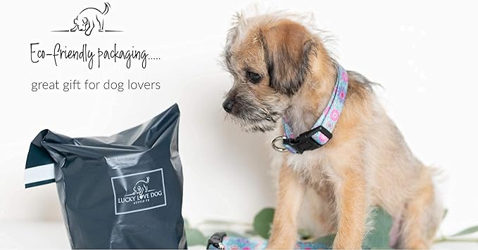 Lucky Love Dog Leash – Soft, Durable, and Comfortable Leash with Vibrant Patterns – Stylish and Long Lasting for Small Male and Female Dogs – Clara, Small